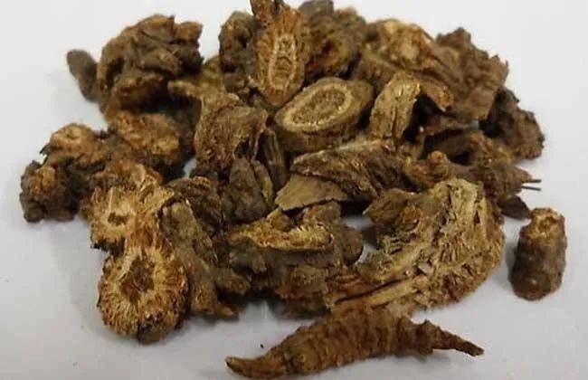 The Story of Bencao Gangmu: Using Qiang Huo to Expel Wind and Disperse Cold
