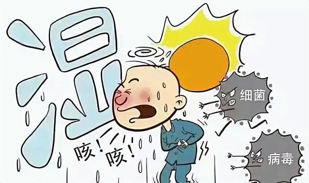Understanding and Treating Damp-Heat in Different Organs: A Comprehensive Guide