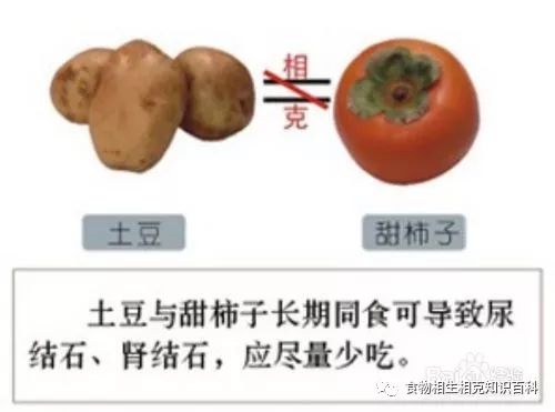 A Comprehensive Guide to Complementary and Contradictory Foods in TCM