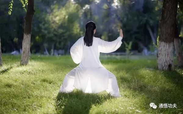 The Essence of Tai Chi: Following Nature's Way