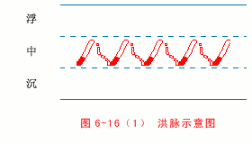 The Wonders of the Twenty-Eight Pulses in Traditional Chinese Medicine: Understanding Pulse Diagnosis (Part 1)