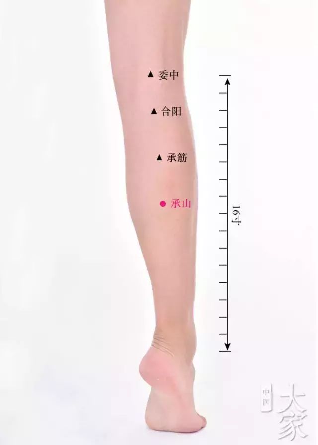 Symptoms and Management of Phlegm-Damp Constitution in Traditional Chinese Medicine