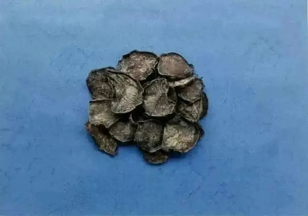 Understanding the Types of Fuzi (Aconite)
