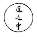 Observational Diagnosis in Traditional Chinese Medicine: Comprehensive Notes
