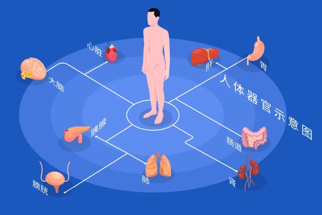 What is Health Preservation? What Exactly Does It Preserve?