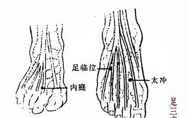 Three Hand Acupuncture Points, Three Foot Acupuncture Points, and Three Shoulder Acupuncture Points!