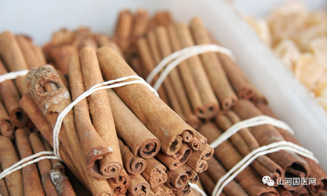 Traditional Chinese Medicine: Cinnamon