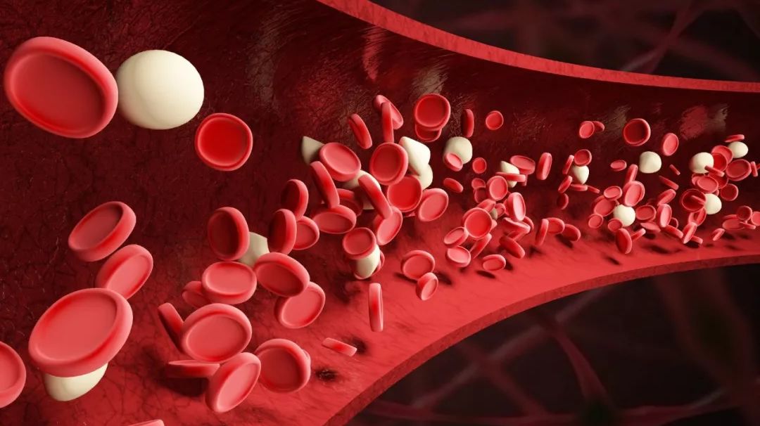 Bruising Easily? Blood Stasis Constitution Leads to Various Illnesses! How to Unblock Stagnant Blood