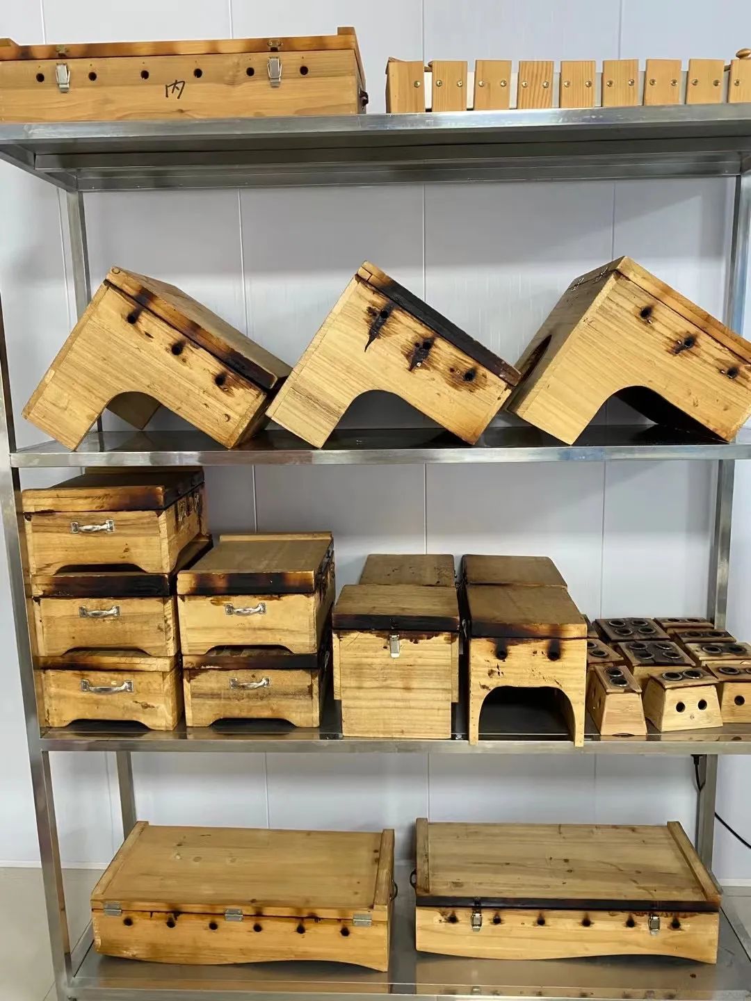 The Unique Therapeutic Approach of Moxibustion in Traditional Chinese Medicine