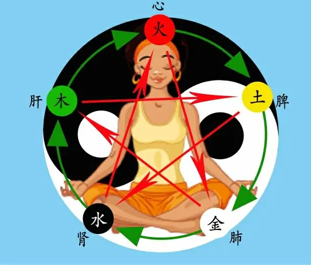 The Relationship Between the Five Elements and the Human Body