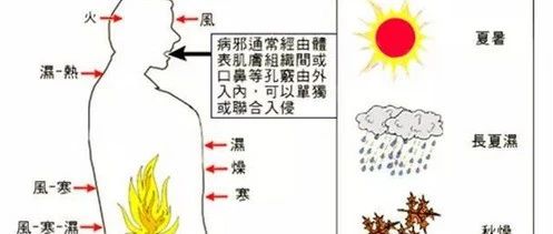 The Six Excesses in Traditional Chinese Medicine