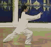 Comprehensive Guide to Tai Chi Movements: Exercise at Home!