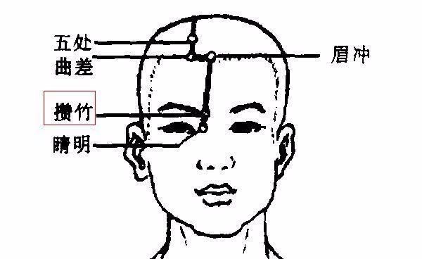 50 Common Acupuncture Points for Treating Various Ailments