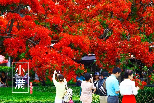 Preparing for the Humid and Hot Days of the Year: Tips for Health During Xiaoman