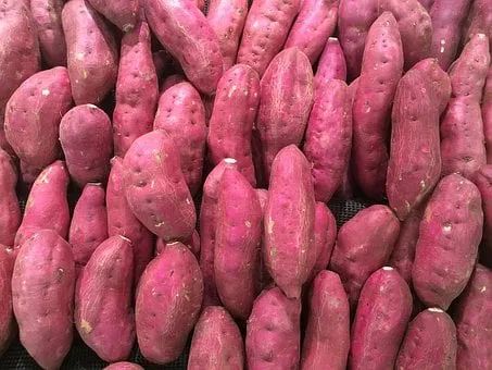 Managing Spleen and Stomach Deficiency, Damp-Heat, and Weakness: The Best Methods