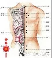 Benefits of Cupping Therapy on the Back