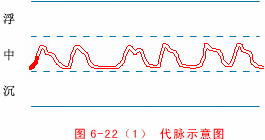 Illustrated Guide to 28 Dynamic Pulse Diagnoses in Traditional Chinese Medicine