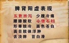 What Are the Symptoms of Spleen and Kidney Yang Deficiency? How to Regulate It?