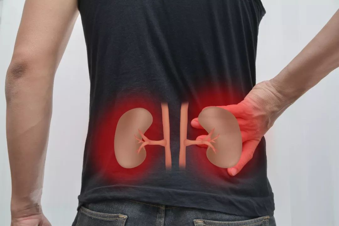 What Are the Symptoms of Kidney Yang Deficiency? Here Are 5 Key Points!