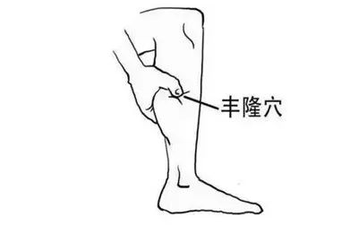 Phlegm-Damp Constitution and Obesity: Stimulating This Acupoint to Eliminate Dampness and Resolve Phlegm