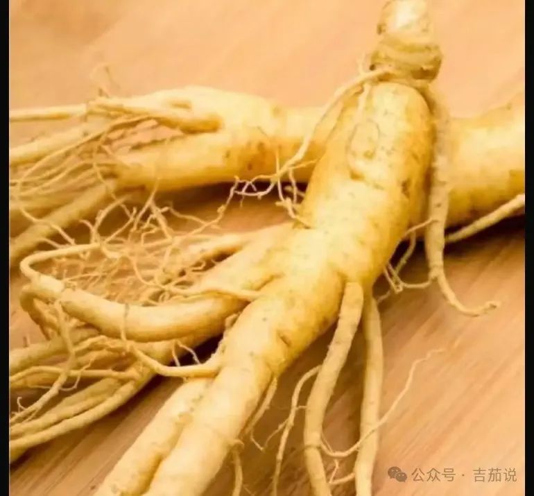 Stop Randomly Consuming Health Supplements! Ginseng: The Correct Approach to Food and Medicine Integration