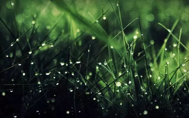 The Influence of Six Qi and Six Yin on Human Physiological Changes