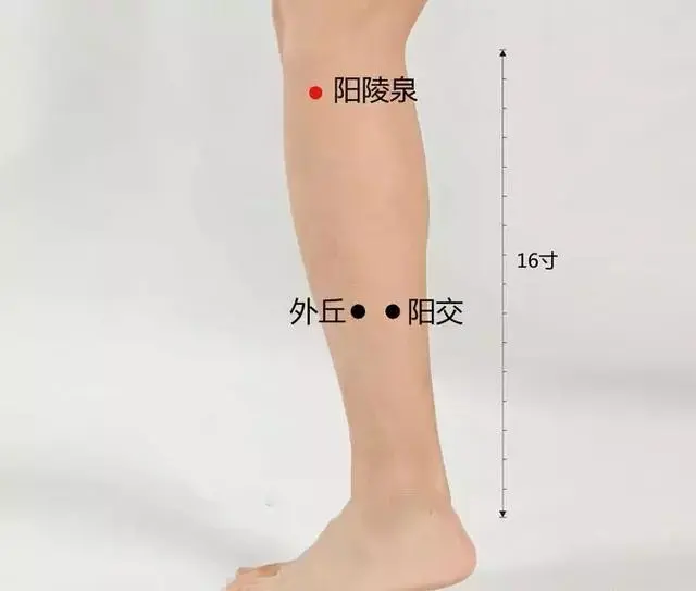 57 Practical Acupuncture Points Everyone Can Use