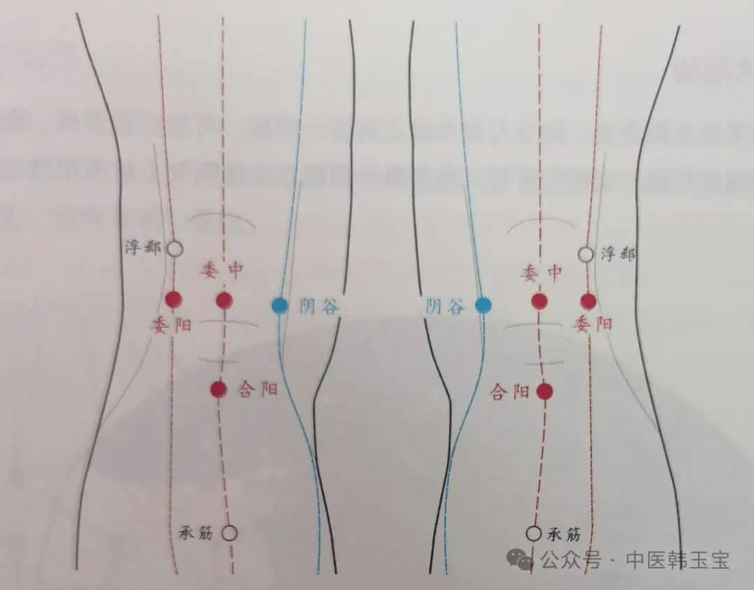 Meridian Studies I: Wu Men Meridian and Tai Yang Meridian