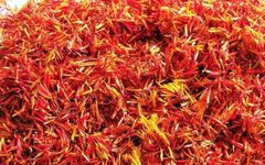 Weekly Herb Spotlight | Safflower
