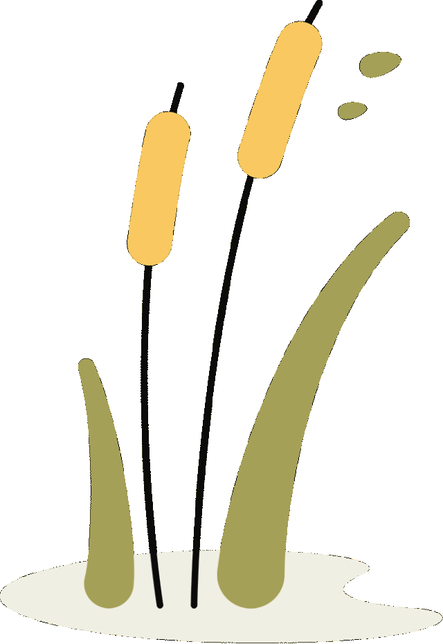Dietary Regulation for Harmonious Constitution in Traditional Chinese Medicine