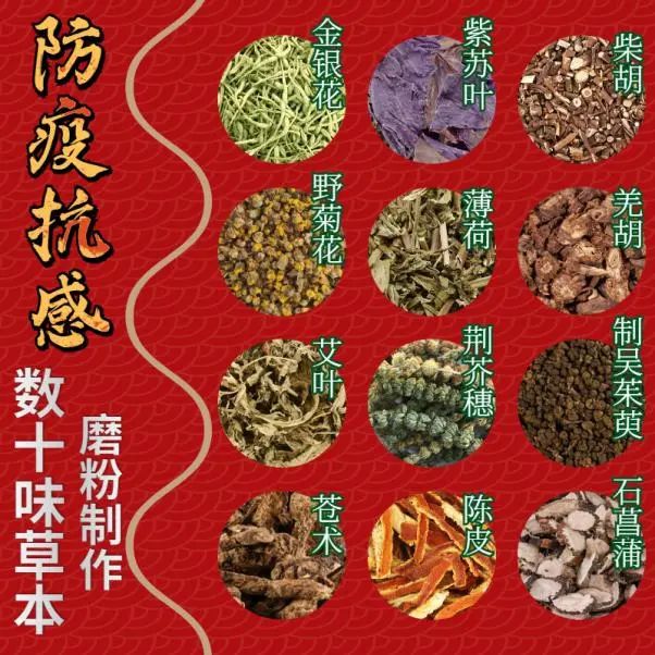 Daily Herb 182: Atractylodes - The Sacred Herb for Drying Dampness and Strengthening the Spleen
