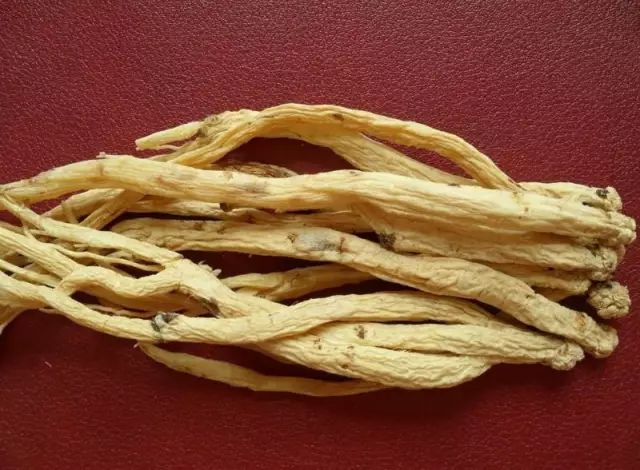 The Functions and Efficacy of Dang Shen: Tonifying Qi, Strengthening the Spleen and Lungs, Nourishing Blood and Generating Fluids