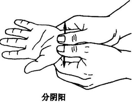 Balancing Yin and Yang to Prevent Illness: A Key Acupuncture Point for Harmonizing Qi and Blood