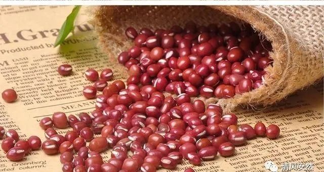 Heavy Dampness, Many Ailments! Recommended 7 Herbs for Dampness Removal (Includes Formulas and Recipes)