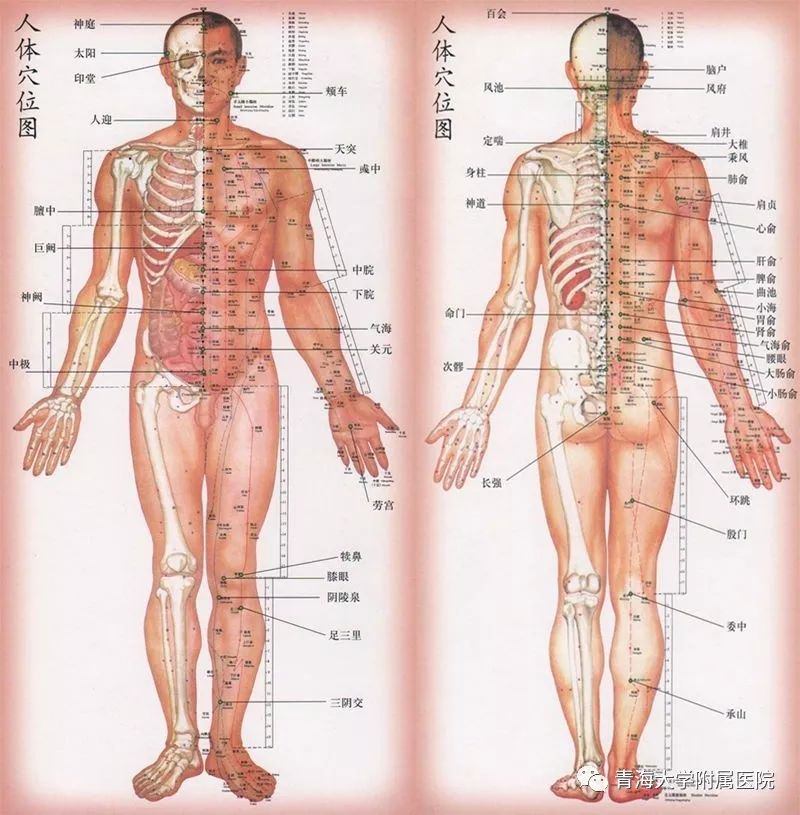 Understanding the Technique of Pricking and Cupping Therapy