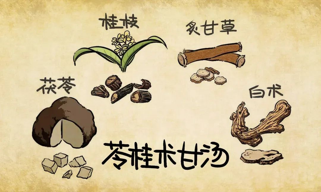 Zhang Zhongjing's Timeless Formula for Eliminating Dampness
