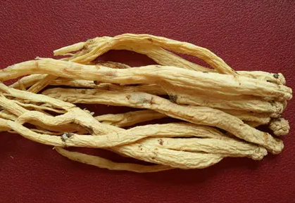 The Fastest Way to Boost Immunity: A Single Chinese Herb Can Tonify Lung Qi, Spleen Qi, and Kidney Qi!
