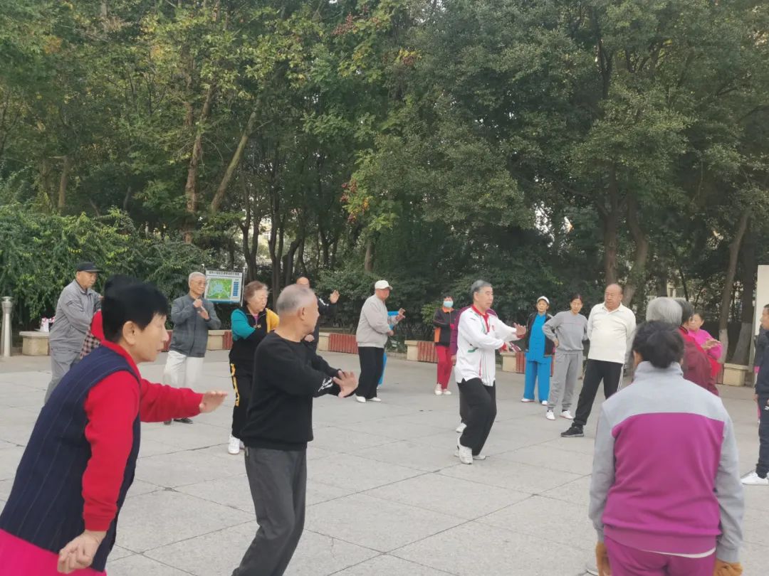 Worried About Not Mastering Tai Chi? The Most Comprehensive Practice Points Are Here! (Be Sure to Save)