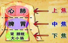 Three Methods to Eliminate Dampness in Traditional Chinese Medicine