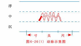 The Twenty-Eight Pulses and All Pulse Patterns in Traditional Chinese Medicine (Animated Illustrations)