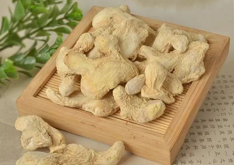 Daily Herb: Dried Ginger (Gan Jiang)