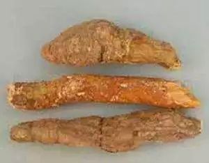 The Story of Fu Ling (Poria) in Traditional Chinese Medicine