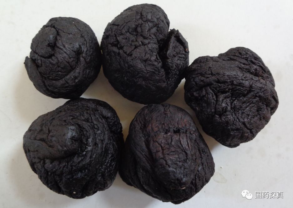 Special Appreciation of Cooked Rehmannia