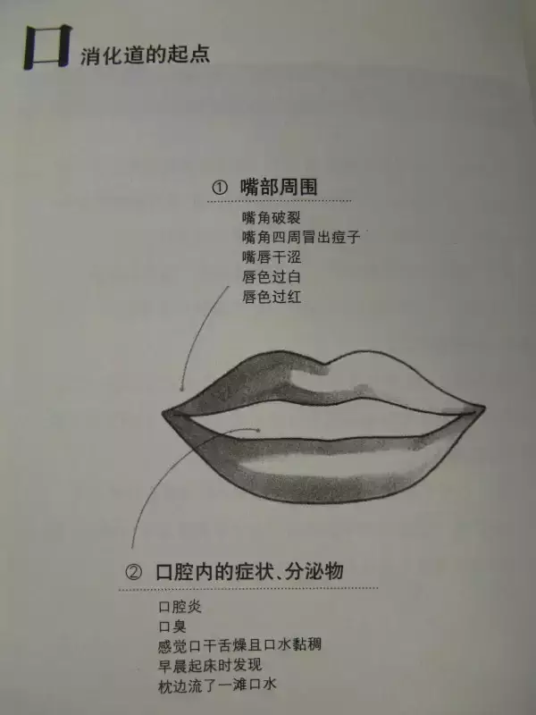 Essence of TCM Observation Diagnosis Illustrated