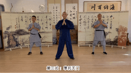 Detailed Explanation of the Twelve Movements of the Ancient Yi Jin Jing