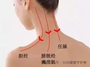 Why Should You Practice Gua Sha on the Neck and Shoulders? Can Regular Gua Sha on the Neck Combat Aging?