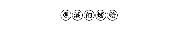 A Remarkable Remedy: Jingzhou Poria