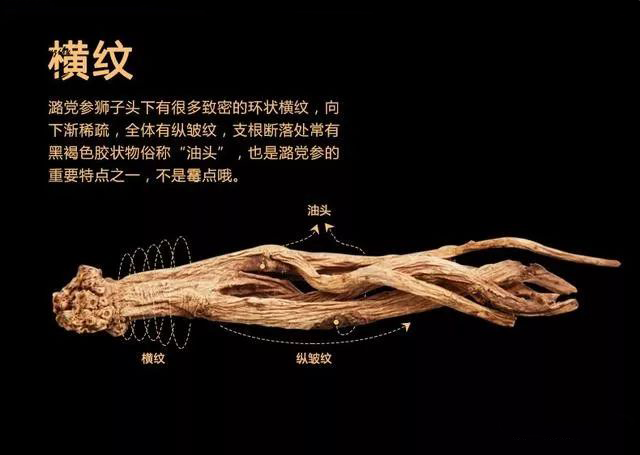 Ping Shun Lu Dang Shen: Expanding the Path to Prosperity