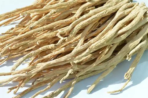 The Functions and Efficacy of Dang Shen: Tonifying Qi, Strengthening the Spleen and Lungs, Nourishing Blood and Generating Fluids