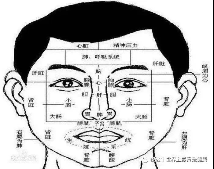 Traditional Chinese Medicine Diagnosis Through Observation of Body Areas